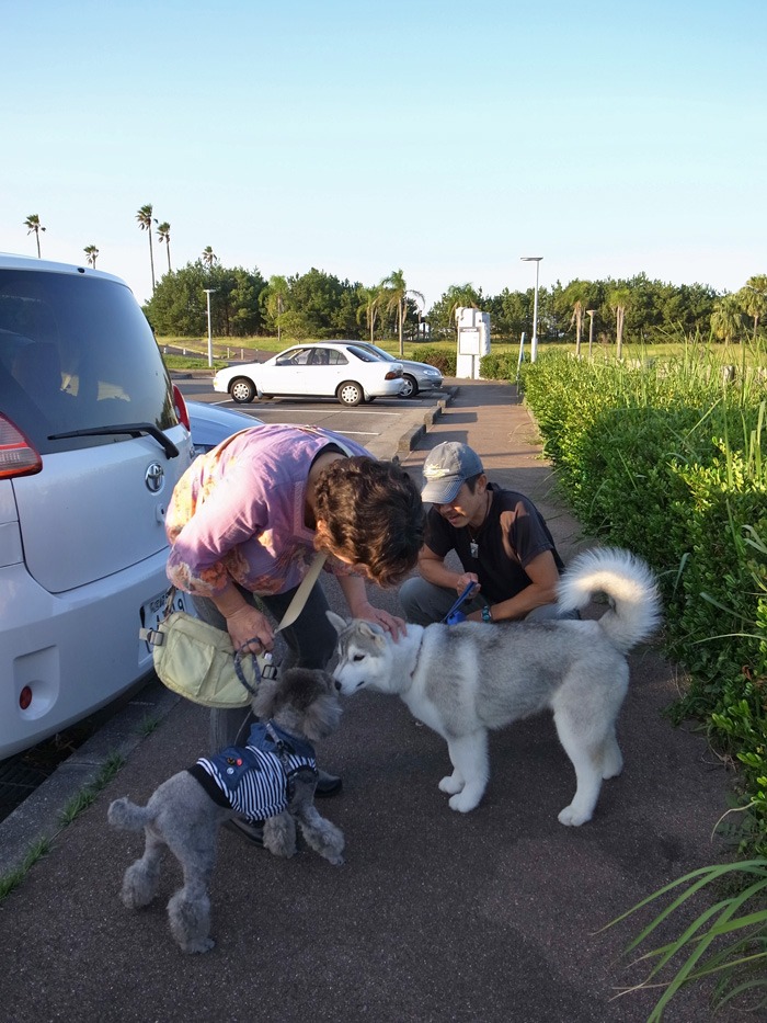 子犬　少しずつお散歩増量中♪_c0049299_1793570.jpg