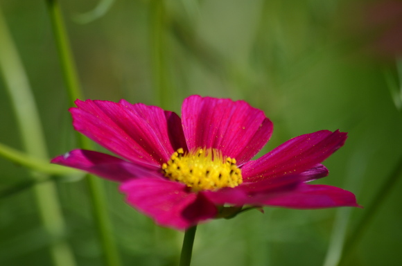 a0288500_18279100.jpg