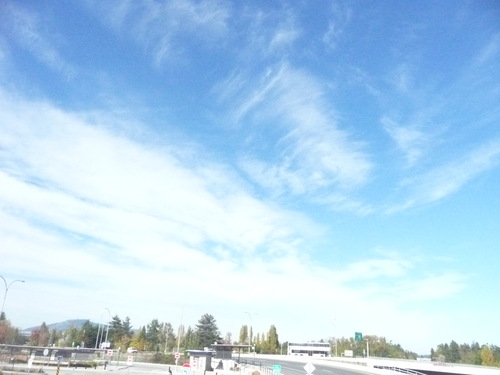 b0117700_10563620.jpg