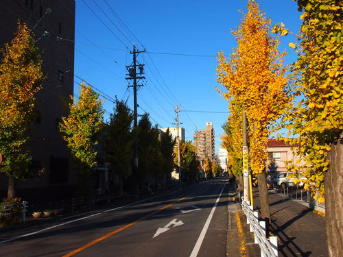 e0122100_1313992.jpg