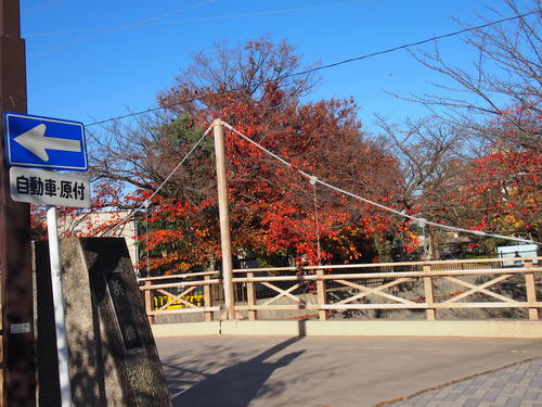 e0122100_1315692.jpg