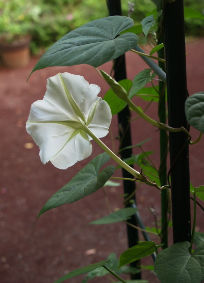 e0089001_2212098.jpg