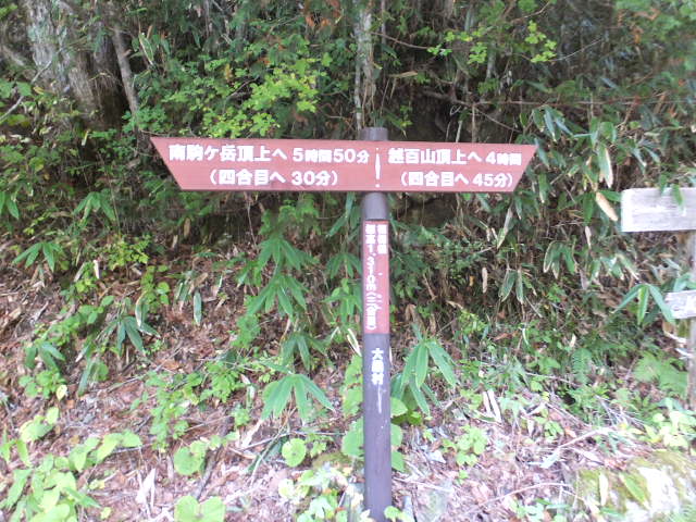 a0271502_11352726.jpg