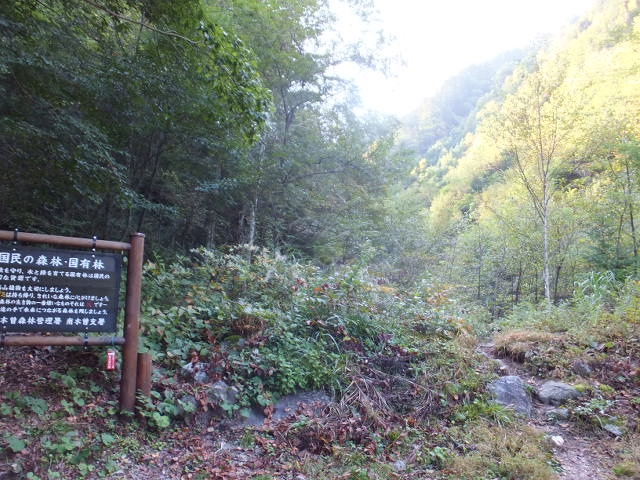a0271502_11373850.jpg