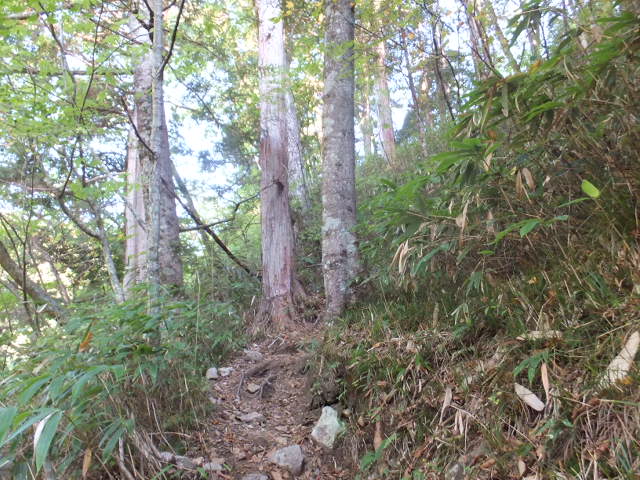 a0271502_11434917.jpg