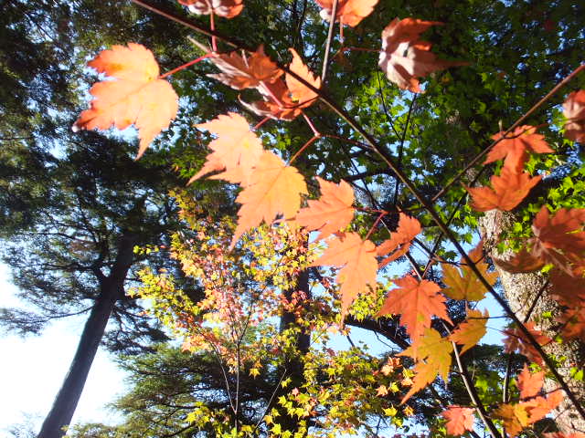 a0271502_11495958.jpg