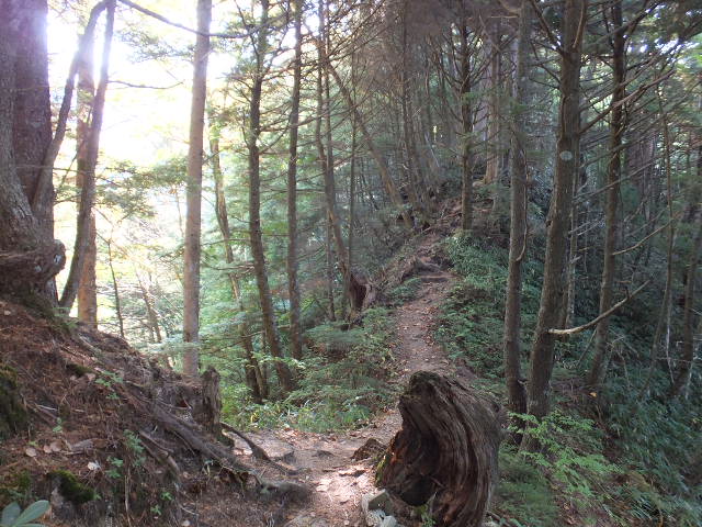 a0271502_11584166.jpg