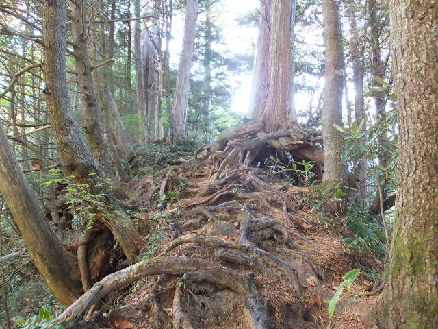 a0271502_11593475.jpg