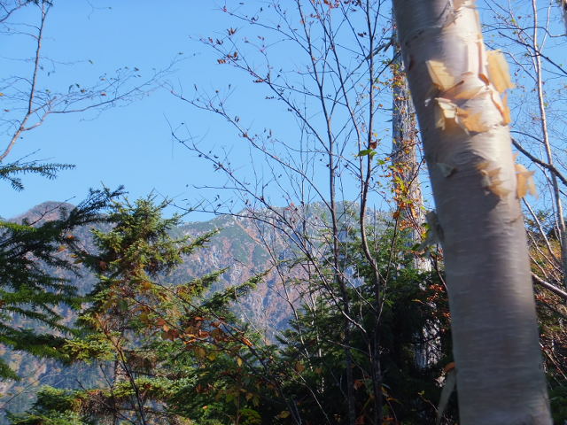 a0271502_12111395.jpg