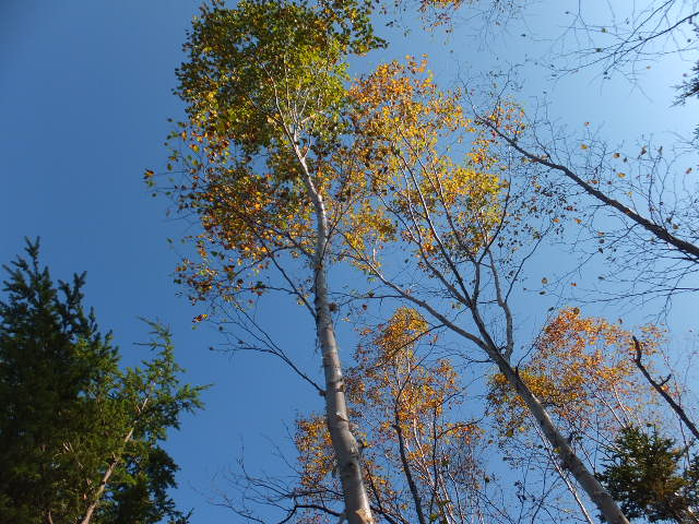 a0271502_1220261.jpg