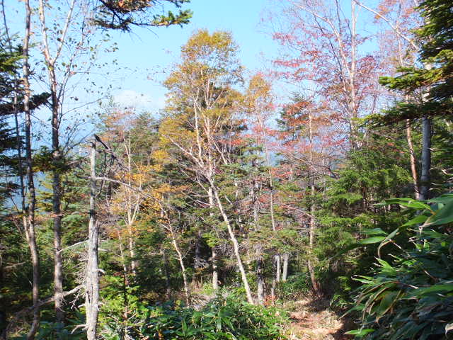 a0271502_12211774.jpg