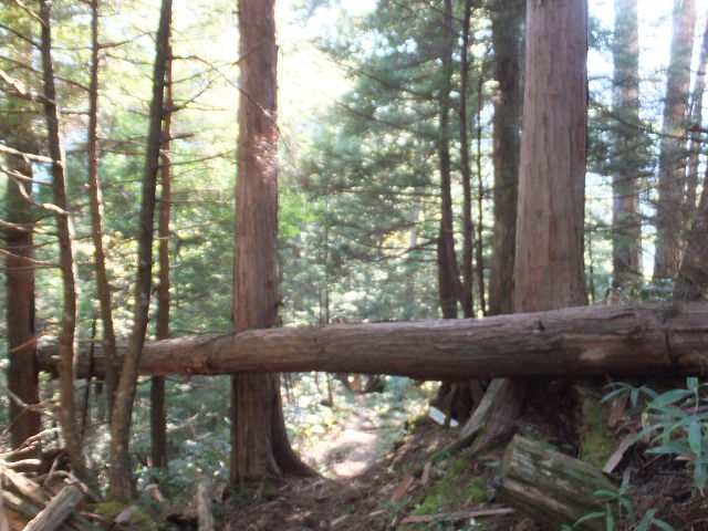 a0271502_124472.jpg