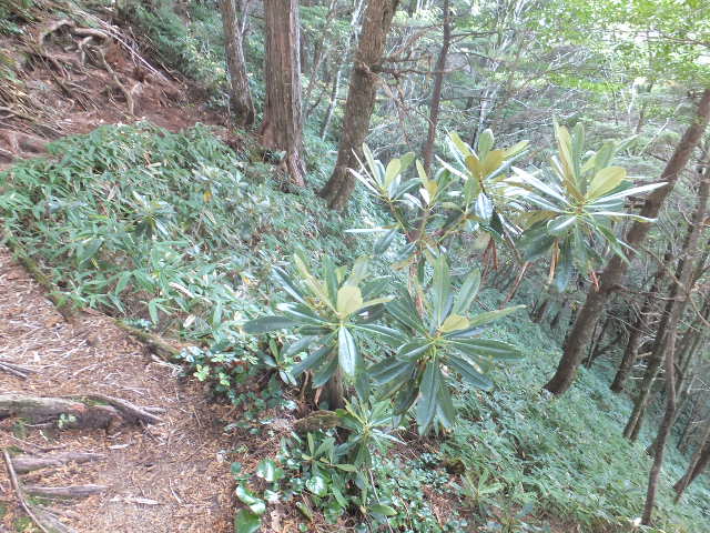 a0271502_12485.jpg