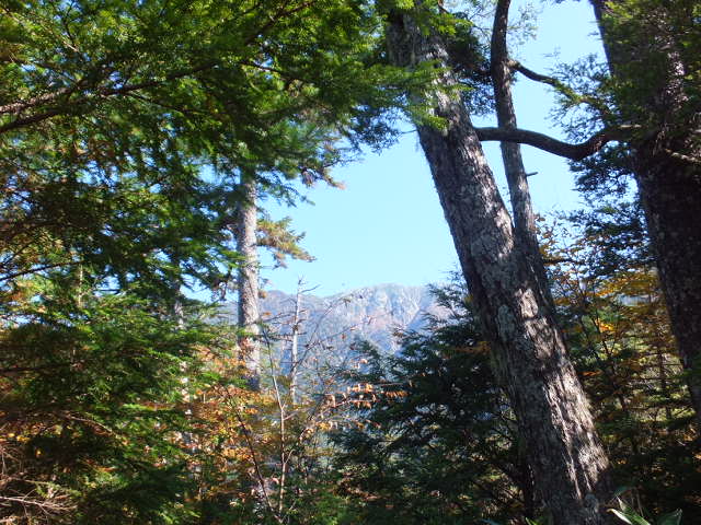 a0271502_1294598.jpg