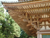 いてくれなきゃ困る! ―醍醐寺五重塔を訪問して―_c0133503_11152569.jpg