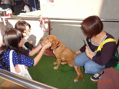 イベントの秋！バイク～犬～福祉～_d0050503_13585414.jpg