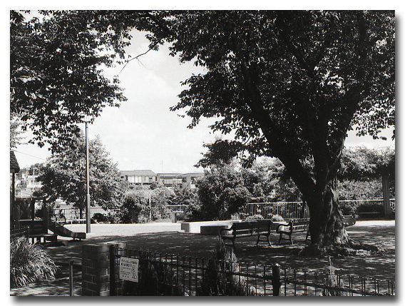 e0175405_7193961.jpg