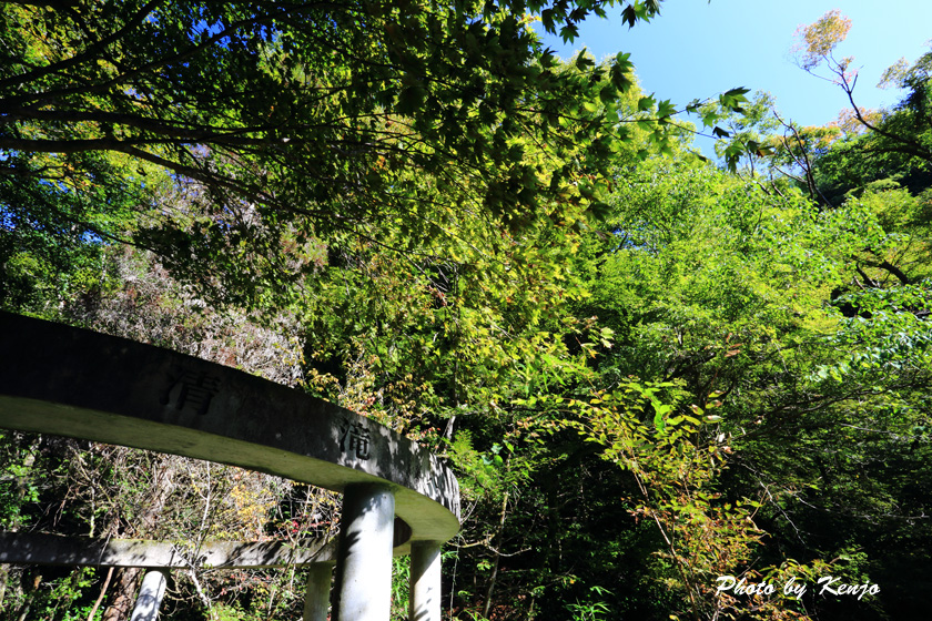 a0097006_2117282.jpg