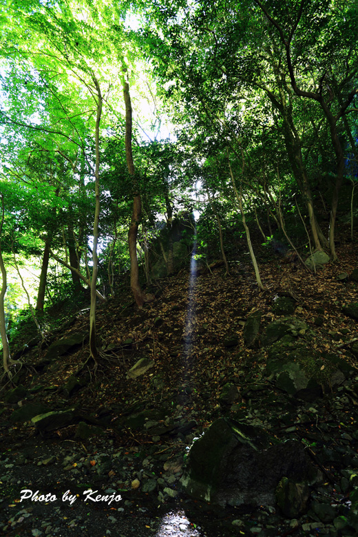 a0097006_21185331.jpg