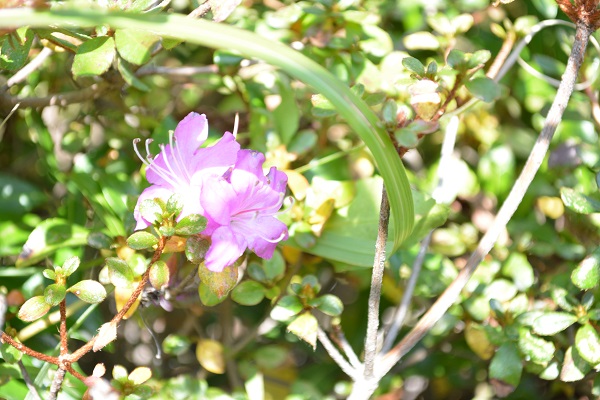 b0277008_8142480.jpg