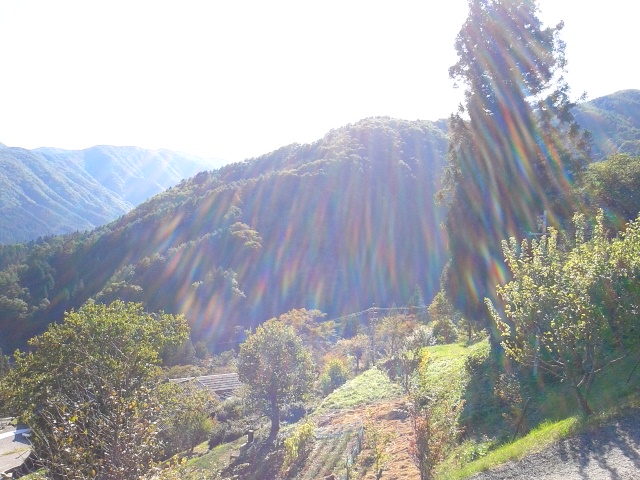 f0024708_081239.jpg