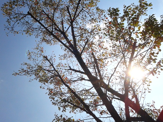 f0024708_230063.jpg