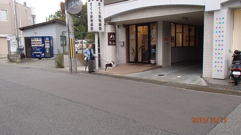 c0165909_16451469.jpg