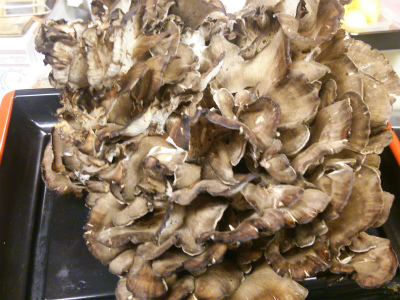 f0157910_1521215.jpg