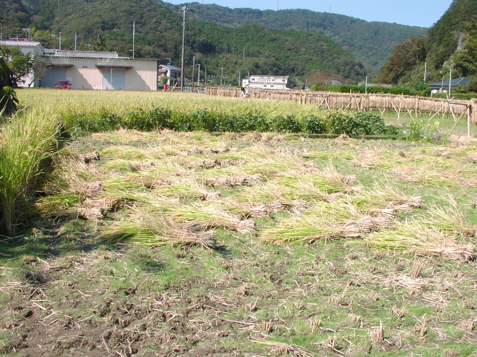 f0164410_17405049.jpg