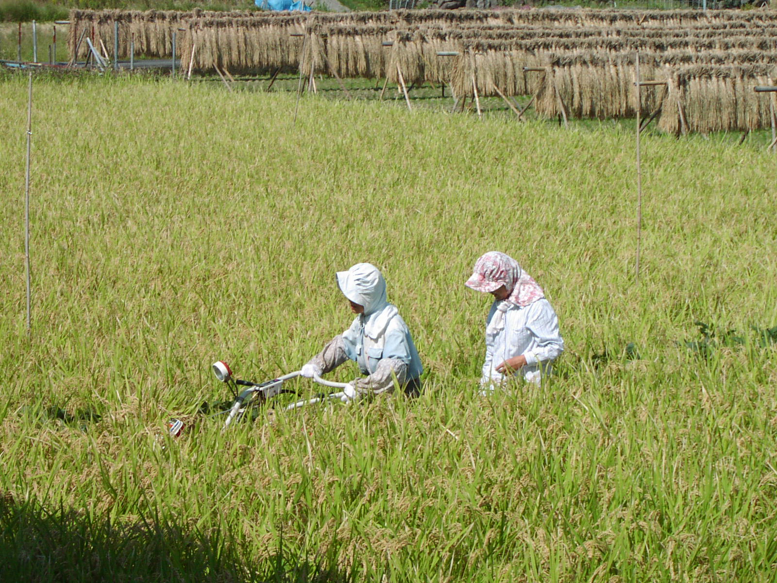 f0164410_1740663.jpg
