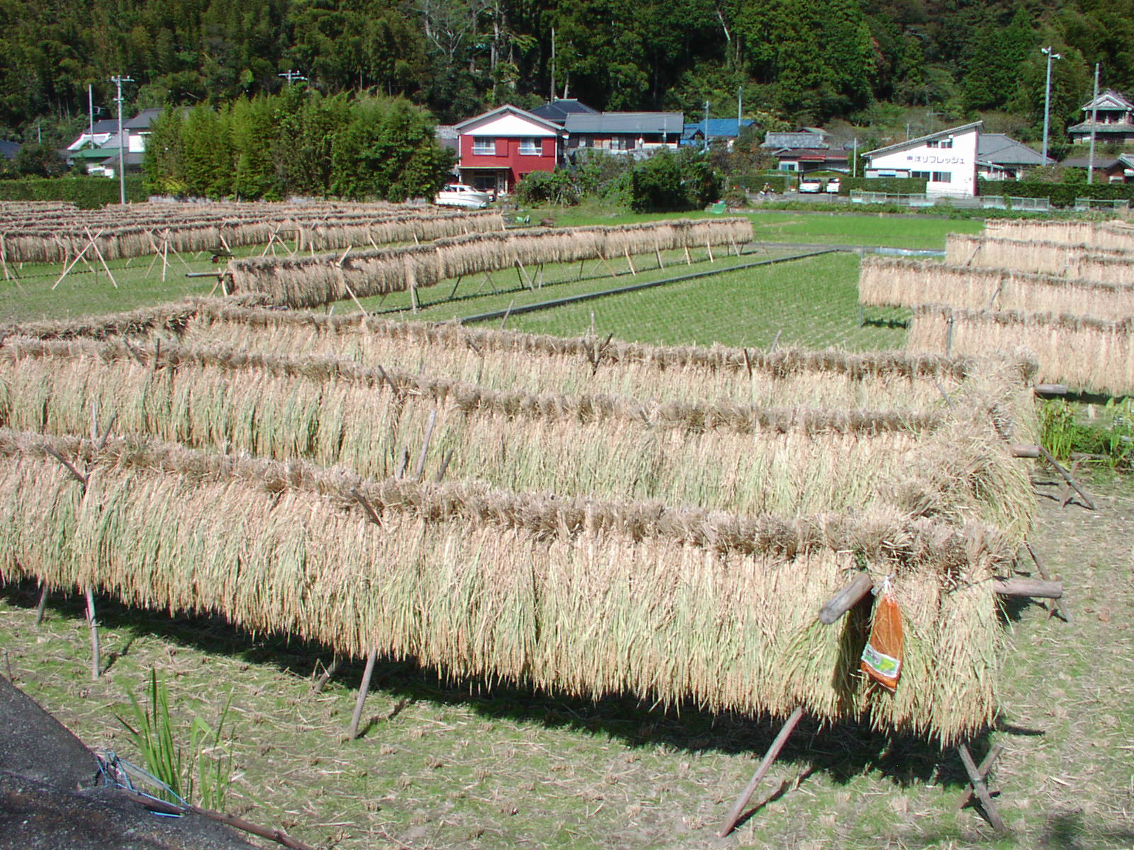 f0164410_174198.jpg
