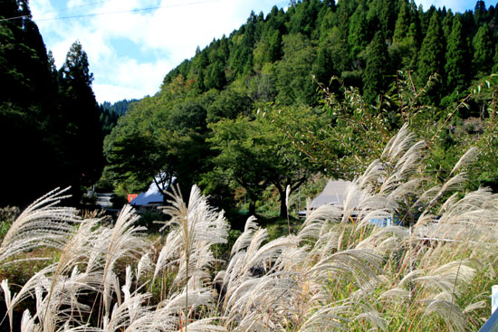 花背の里 秋景色3_e0048413_20432711.jpg