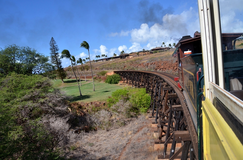 Hawaii Ⅴ　マウイ島_d0065116_2035740.jpg