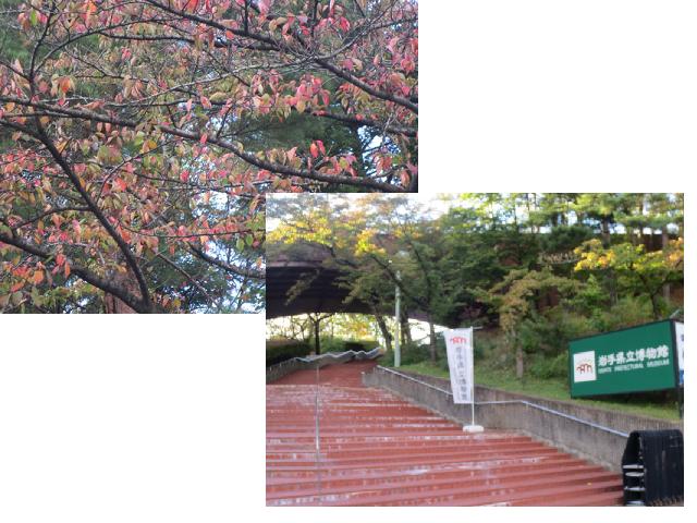 f0248616_16555328.jpg
