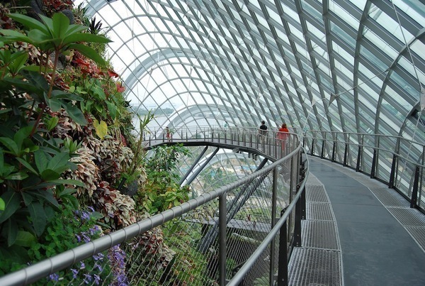 中古本】空間・反空間のなかの植物 885】空間・反空間のなかの
