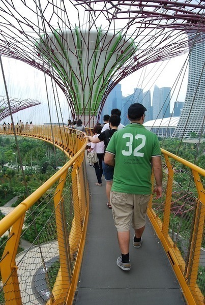 高さ２２mの空中散歩 シンガポールの植物園 アーバン ガーデン ウォッチング