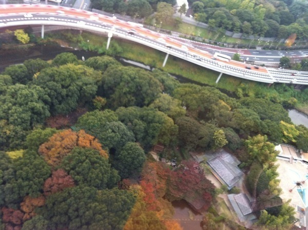 東京の緑。迎賓館、神宮の緑_f0301316_23253527.jpg