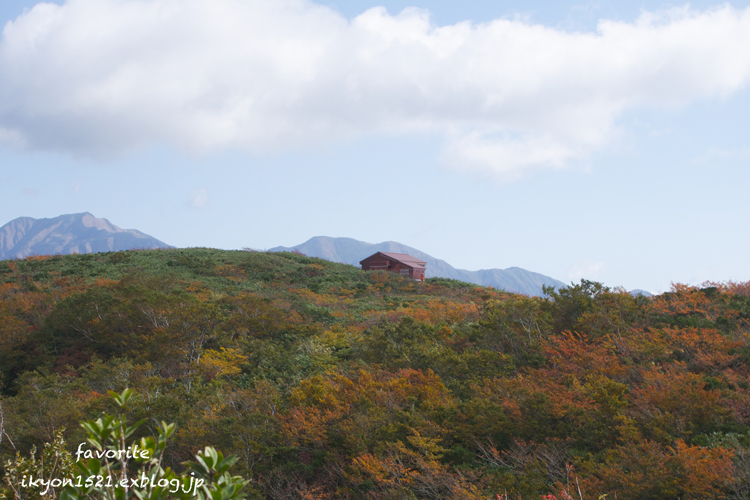 名前に騙されたと怒る＠赤兎山_b0290417_1931561.jpg