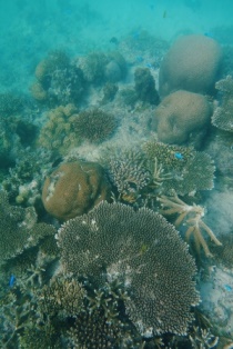 f0142821_8591886.jpg