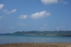 f0142821_8593440.jpg