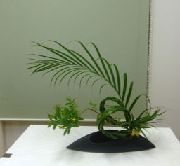御無沙汰してます。_c0165824_11585920.jpg