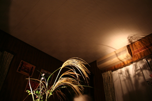 d0181824_13135913.jpg