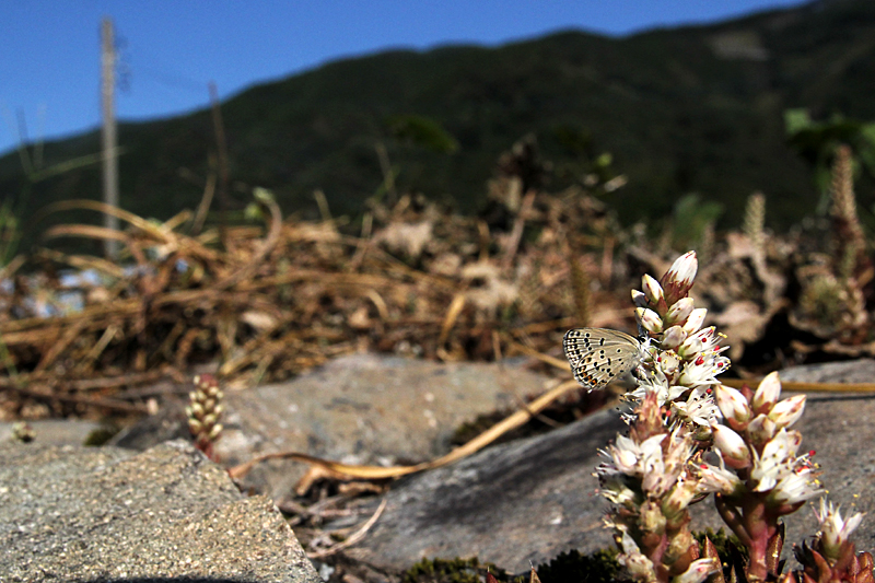 d0054625_071644.jpg