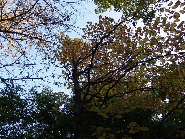 d0130927_1627505.jpg