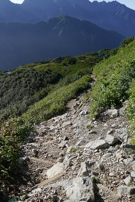 北アルプス・双六岳登山記　その３６_c0196928_7293919.jpg