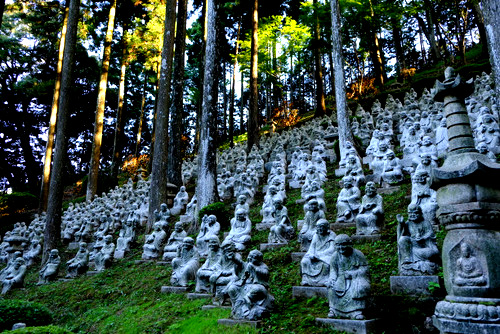「福岡・糸島再訪 千如寺大悲王院」_a0000029_16223341.jpg