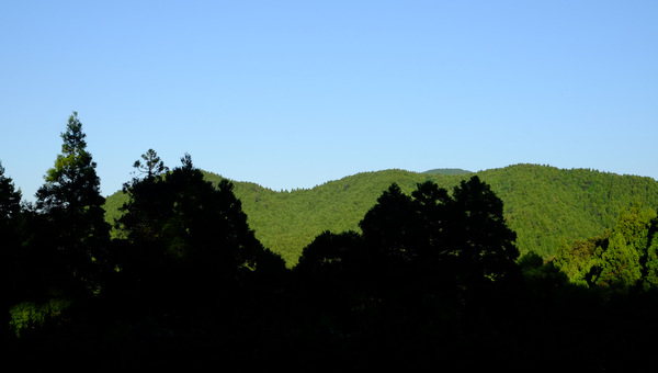 「福岡・糸島再訪 千如寺大悲王院」_a0000029_16513196.jpg