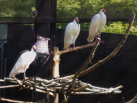 佐渡_c0077531_177318.jpg