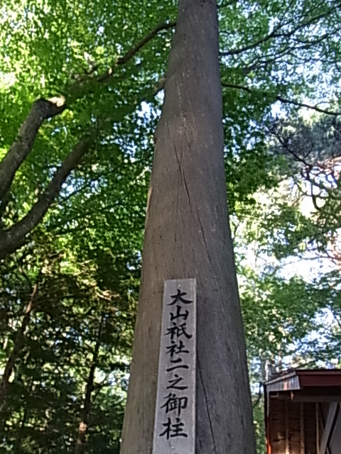 c0265631_16124484.jpg