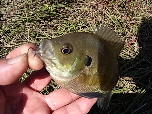 c0265631_16183510.jpg